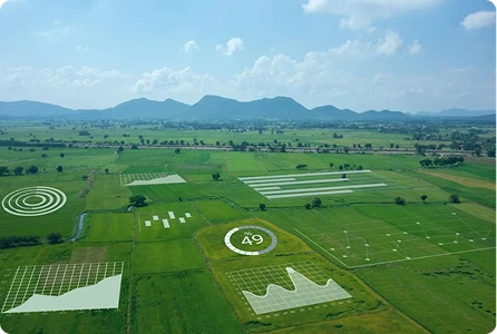  Agriculture