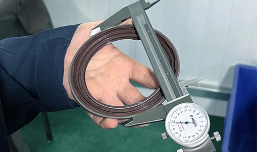 Vulcanization Inspection