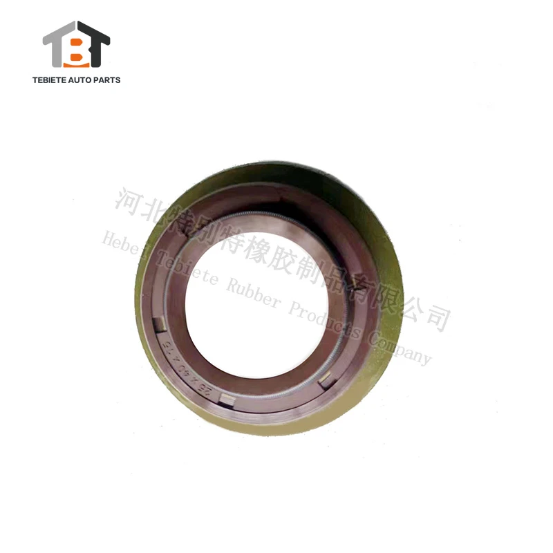 OE Quality 1295232 DAF Truck Shaft Oil Seal 25*40*15 NBR/FKM Truck Replacement Parts